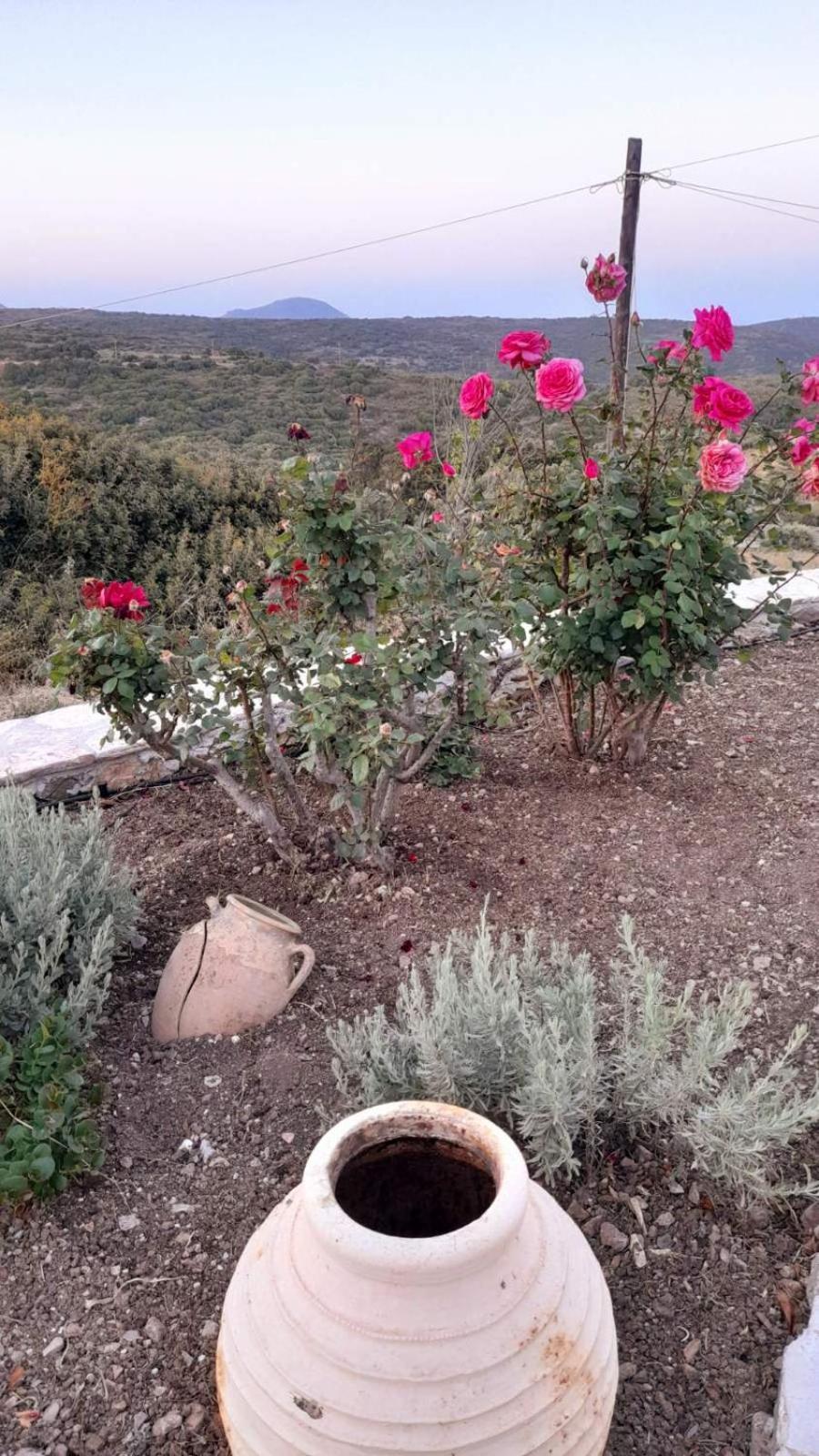 Tsipouras House Villa Kýthira Eksteriør billede